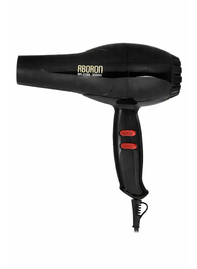 Professional 3000W Hair Dryer BR-2288